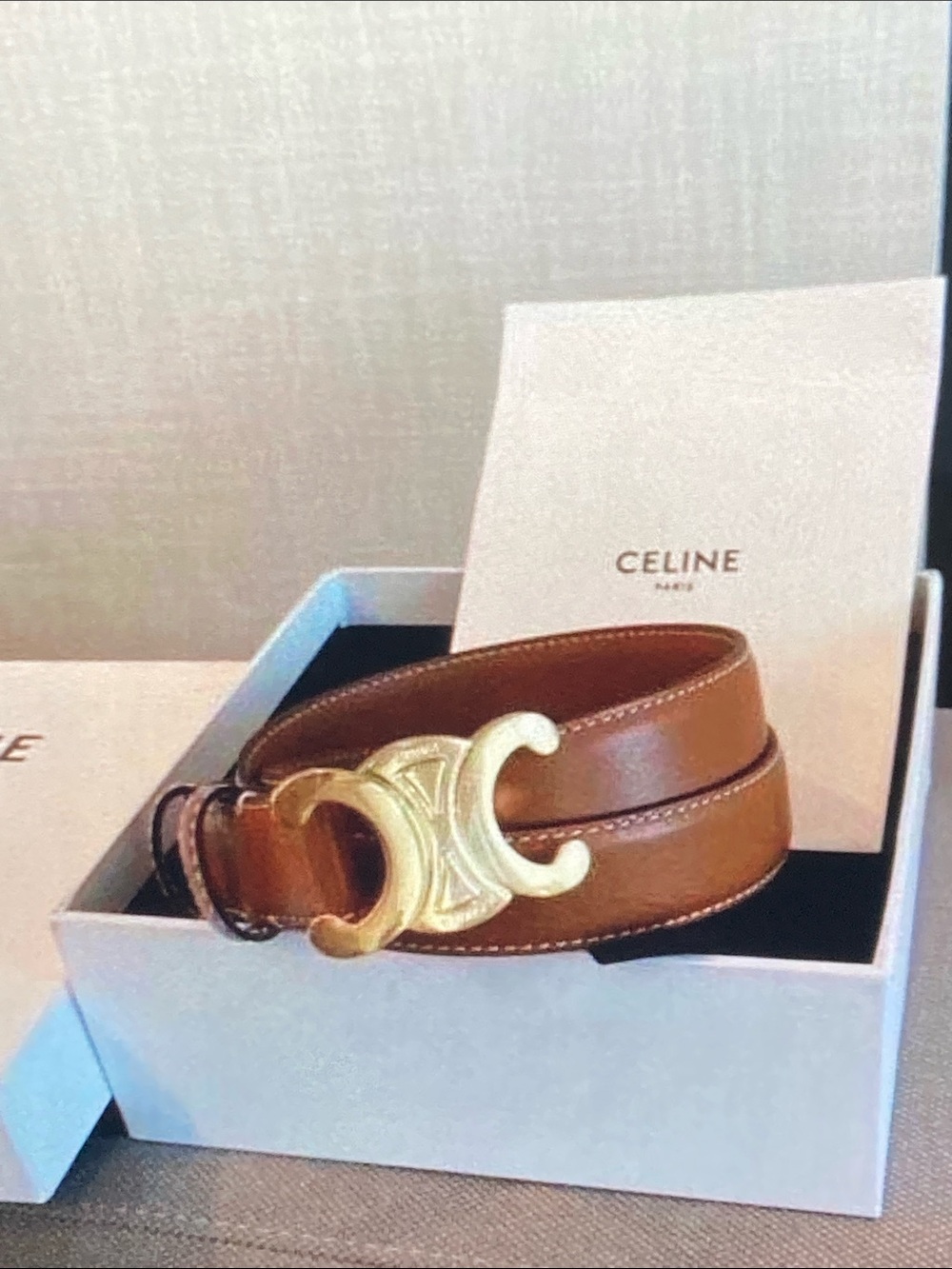 Celine Brown And Gold Belt